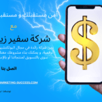 التسويق المباشر